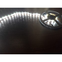 Светодиодная лента открытая 3528/60LED, цвет: белый,...
