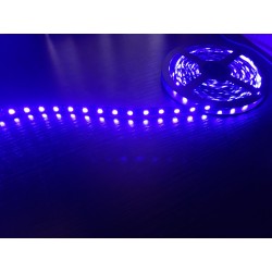 Светодиодная лента 5050/60LED, цвет: голубой (на черной...