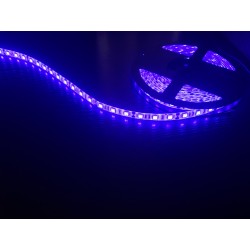 Светодиодная лента 5050/60LED, цвет: голубой, напряж: DC...