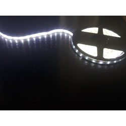 Светодиодная лента 3528/60LED, цвет: белый, напряж: DC...