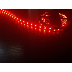 Светодиодная лента 5050/60LED, цвет: красный (на черной...
