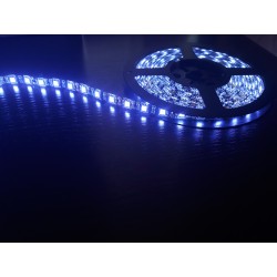 Светодиодная лента 5050/60LED, цвет: белый (на черной...