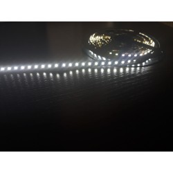 Светодиодная лента 3528/120LED, цвет: белый (на черной...