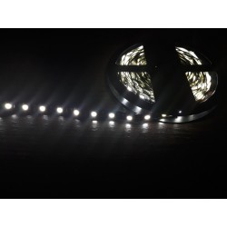 Светодиодная лента 5050/60LED, цвет: белый (на черной...