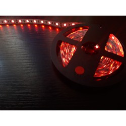 Светодиодная лента 5050/60LED, цвет: красный, напряж: DC...