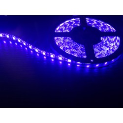 Светодиодная лента 5050/60LED, цвет: голубой (на черной...