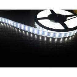 Светодиодная лента 5050/120LED, цвет: белый, напряж: DC...